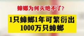 【北(běi)京專業殺蟑螂公司】東方漢諾—北(běi)京快(kuài)訊