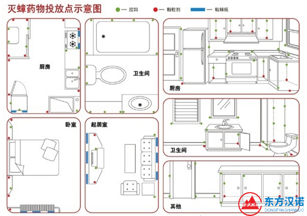 【北(běi)京專業除殺蟑螂公司】東方漢諾—北(běi)京快(kuài)訊